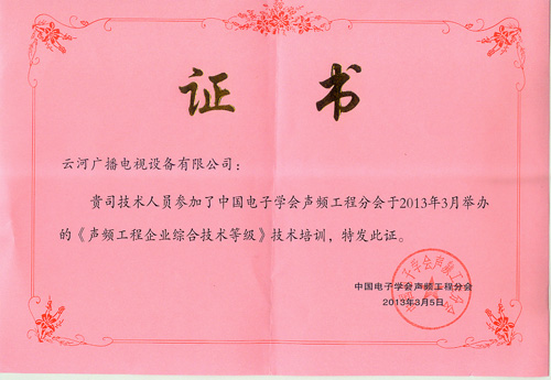 2013Ƶѵ֤